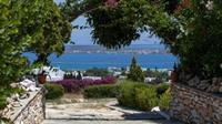 Aloe Paros Suites And Studios Drios Esterno foto